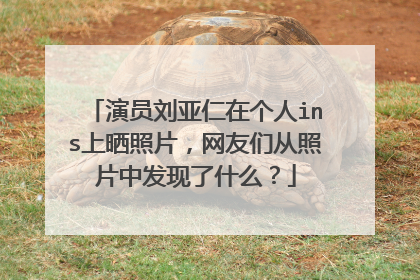 演员刘亚仁在个人ins上晒照片，网友们从照片中发现了什么？