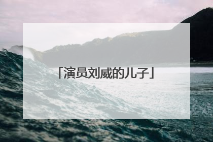 演员刘威的儿子