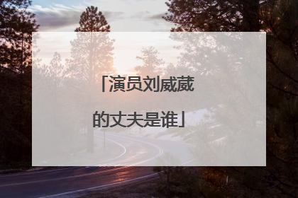 演员刘威葳的丈夫是谁