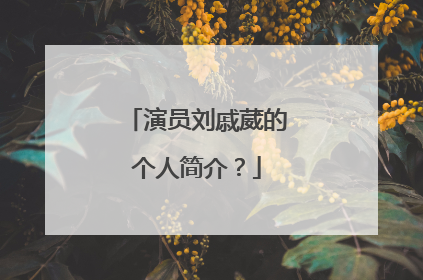 演员刘戚葳的个人简介？