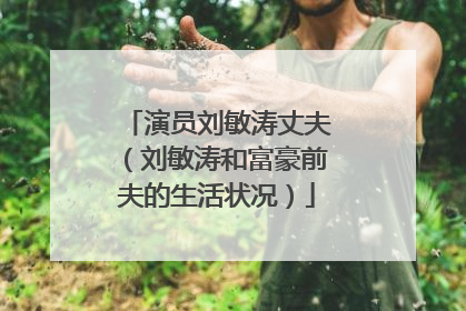演员刘敏涛丈夫(刘敏涛和富豪前夫的生活状况)