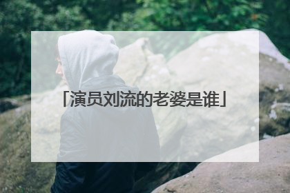 演员刘流的老婆是谁