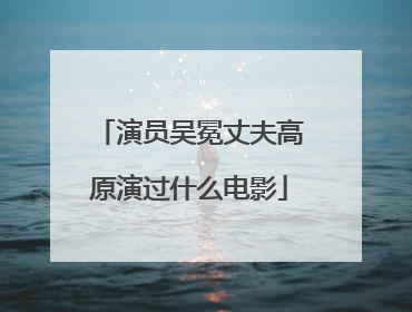 演员吴冕丈夫高原演过什么电影