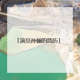 演员孙俪的简历