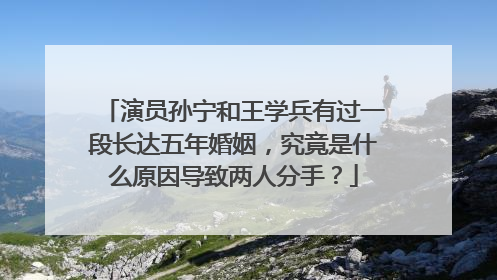 演员孙宁和王学兵有过一段长达五年婚姻，究竟是什么原因导致两人分手？