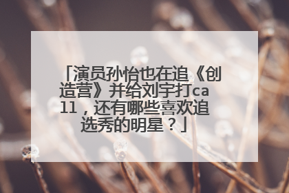 演员孙怡也在追《创造营》并给刘宇打call，还有哪些喜欢追选秀的明星？