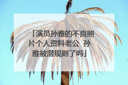 演员孙雅的不良照片个人资料老公 孙雅被潜规则了吗
