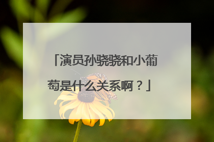 演员孙骁骁和小葡萄是什么关系啊？