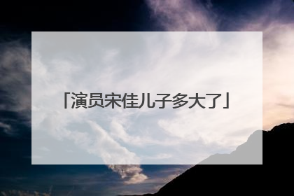 演员宋佳儿子多大了