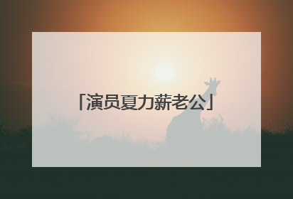 演员夏力薪老公