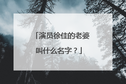 演员徐佳的老婆叫什么名字?