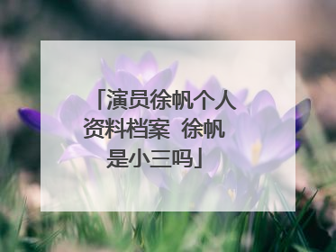 演员徐帆个人资料档案 徐帆是小三吗