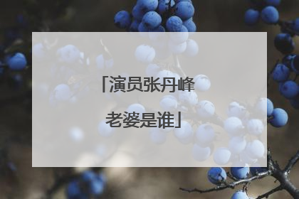 演员张丹峰 老婆是谁