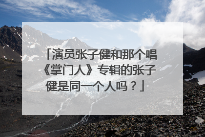 演员张子健和那个唱《掌门人》专辑的张子健是同一个人吗？