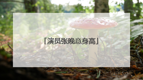 演员张晚意身高