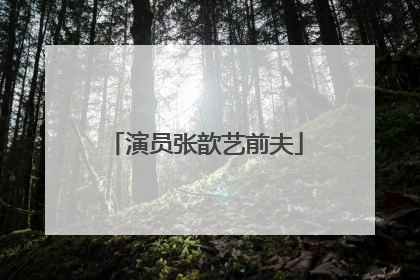 演员张歆艺前夫