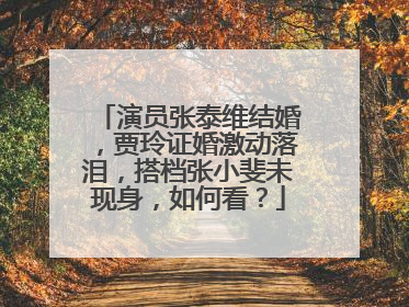 演员张泰维结婚，贾玲证婚激动落泪，搭档张小斐未现身，如何看？