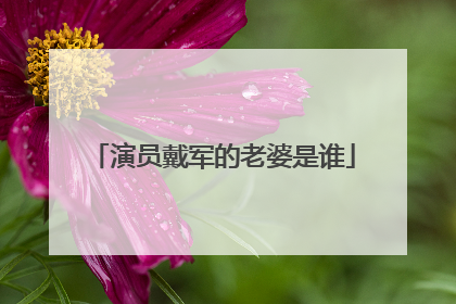 演员戴军的老婆是谁