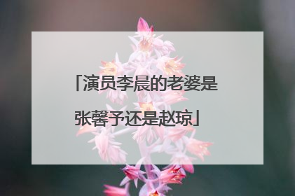 演员李晨的老婆是张馨予还是赵琼