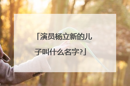 演员杨立新的儿子叫什么名字?