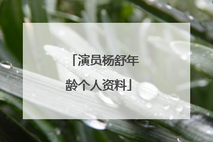 演员杨舒年龄个人资料