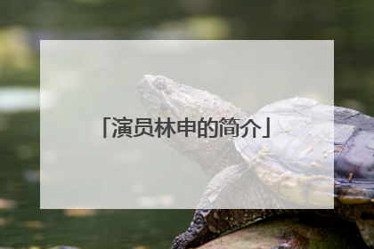 演员林申的简介