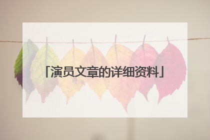 演员文章的详细资料