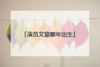 演员文章哪年出生