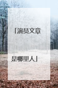 演员文章是哪里人