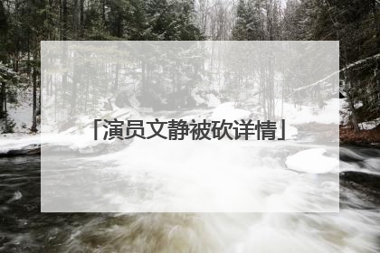 演员文静被砍详情