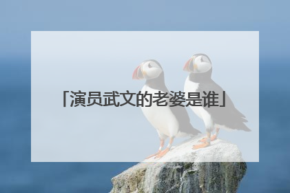 演员武文的老婆是谁