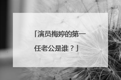 演员梅婷的第一任老公是谁?