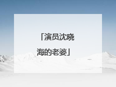 演员沈晓海的老婆