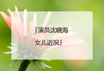 演员沈晓海女儿近况