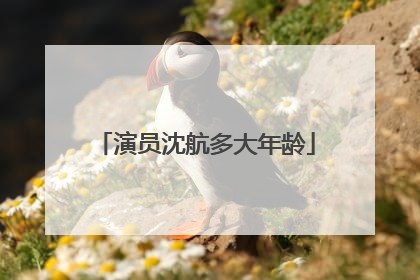 演员沈航多大年龄