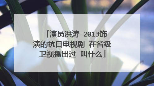 演员洪涛 2013饰演的抗日电视剧 在省级卫视播出过 叫什么