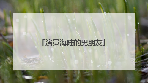 演员海陆的男朋友