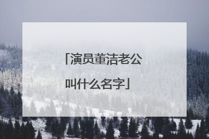 演员董洁老公叫什么名字