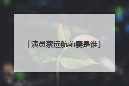 演员蔡远航前妻是谁