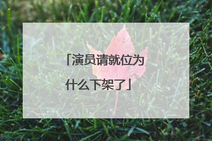 演员请就位为什么下架了