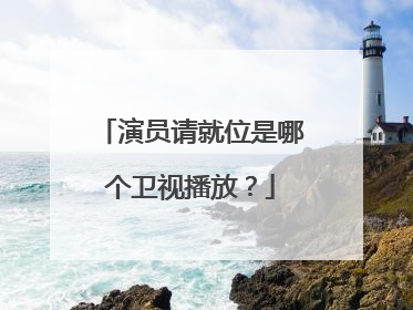 演员请就位是哪个卫视播放？