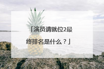 演员请就位2最终排名是什么?