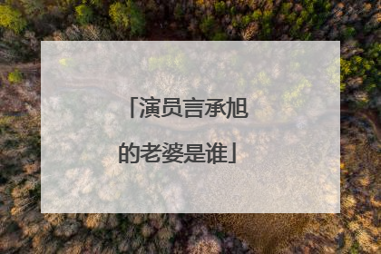 演员言承旭的老婆是谁