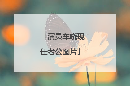 演员车晓现任老公图片