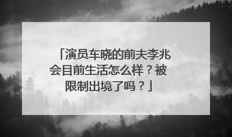演员车晓的前夫李兆会目前生活怎么样?被限制出境了吗?