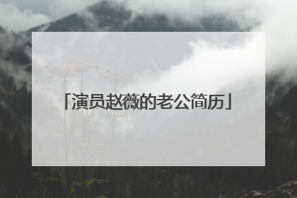 演员赵薇的老公简历