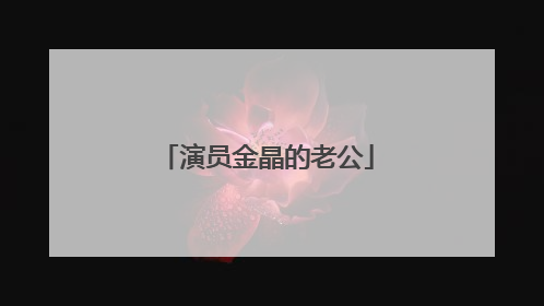 演员金晶的老公