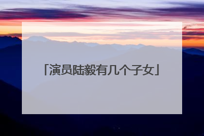 演员陆毅有几个子女