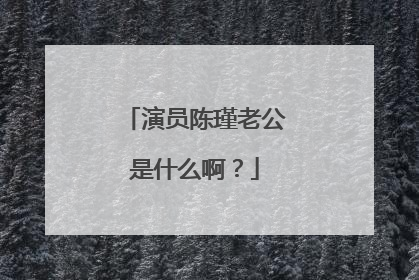 演员陈瑾老公是什么啊?