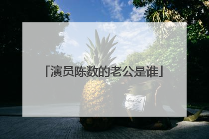 演员陈数的老公是谁